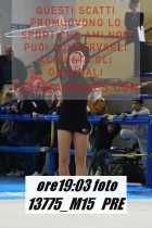 13775_M15-PRE