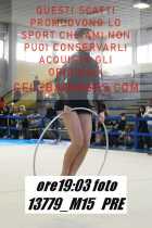 13779_M15-PRE