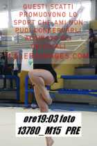 13780_M15-PRE