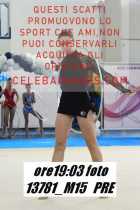 13781_M15-PRE