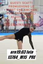 13784_M15-PRE