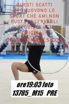 13785_M15-PRE