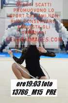 13786_M15-PRE