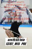 13787_M15-PRE