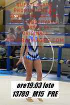 13789_M15-PRE