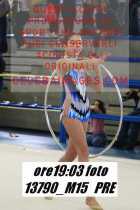13790_M15-PRE