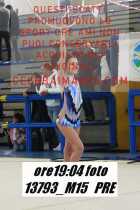 13793_M15-PRE