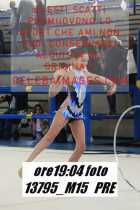 13795_M15-PRE