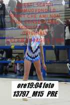 13797_M15-PRE