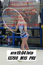 13799_M15-PRE