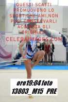 13803_M15-PRE