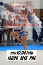 13806_M15-PRE