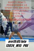 13824_M15-PRE