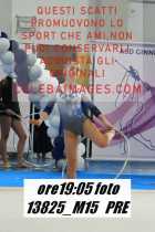 13825_M15-PRE