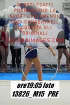 13826_M15-PRE