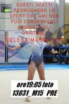 13831_M15-PRE