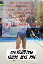 13832_M15-PRE