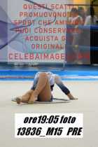 13836_M15-PRE