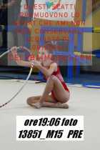 13851_M15-PRE