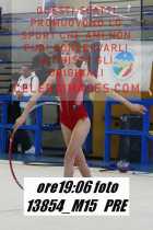 13854_M15-PRE