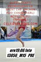 13856_M15-PRE
