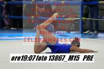 13867_M15-PRE