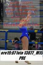 13877_M15-PRE