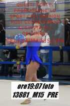 13881_M15-PRE