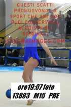 13883_M15-PRE