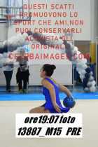 13887_M15-PRE