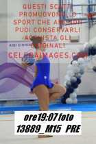 13889_M15-PRE