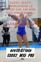 13892_M15-PRE