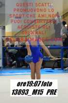 13893_M15-PRE
