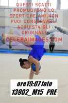 13902_M15-PRE