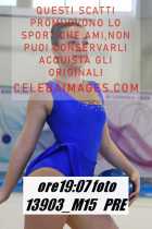 13903_M15-PRE