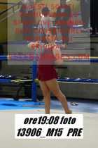 13906_M15-PRE