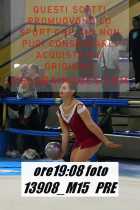 13908_M15-PRE