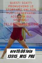 13915_M15-PRE