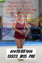 13923_M15-PRE