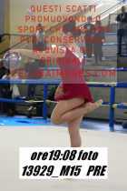 13929_M15-PRE