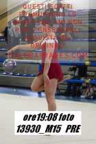 13930_M15-PRE