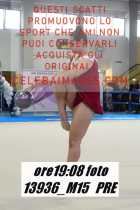 13936_M15-PRE
