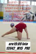 13942_M15-PRE