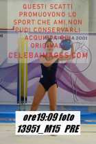 13951_M15-PRE