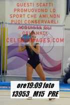13953_M15-PRE