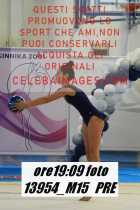 13954_M15-PRE