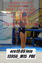 13956_M15-PRE