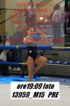 13959_M15-PRE