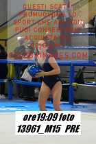 13961_M15-PRE