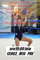 13963_M15-PRE